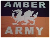 Amber Army